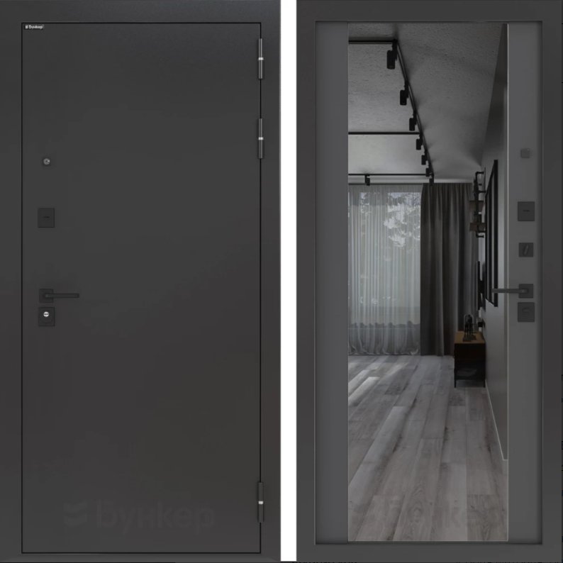 Дверь BN-01.1 DIS006812